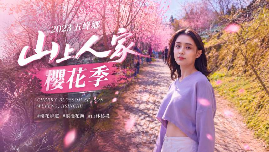山上人家櫻花季